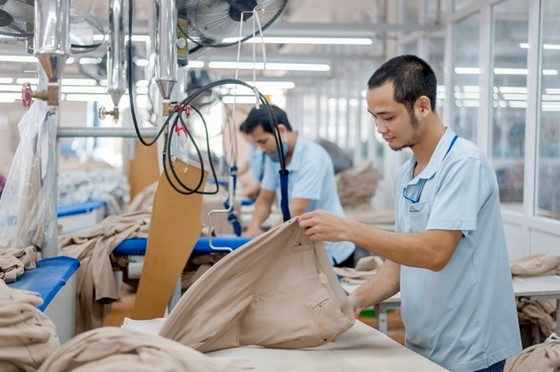 Phân tích mã cổ phiếu MSH – Cơ hội đầu tư hấp dẫn từ doanh nghiệp dệt may hàng đầu Việt Nam