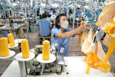 Phân tích mã cổ phiếu MSH &#8211; Cơ hội đầu tư hấp dẫn từ doanh nghiệp dệt may hàng đầu Việt Nam